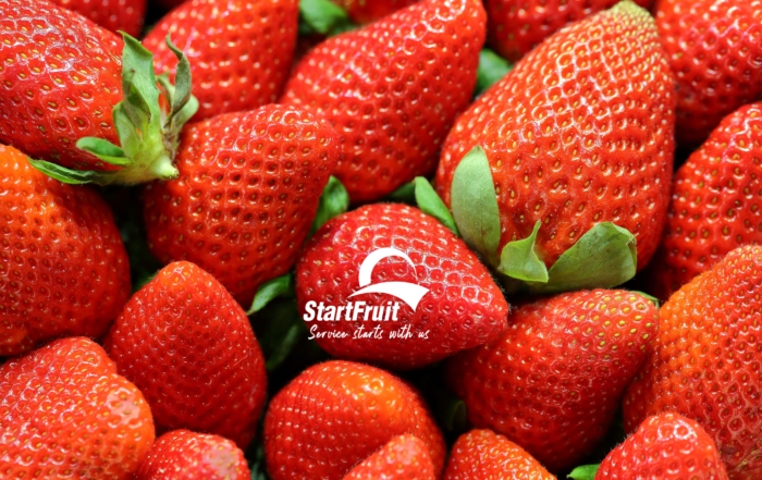 Fresas de fondo con logo de Startfruit
